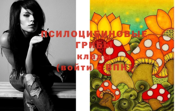 хмурый Медногорск