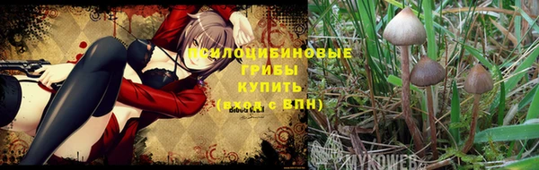 хмурый Медногорск