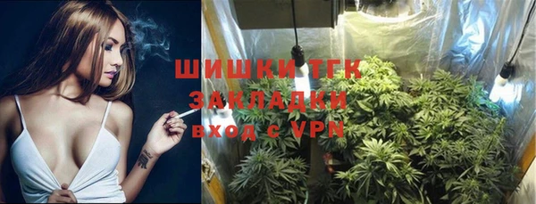 хмурый Медногорск