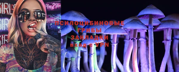 хмурый Медногорск