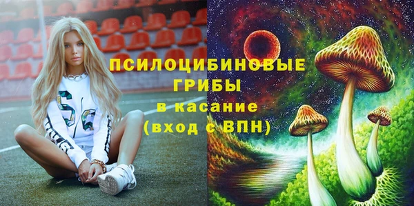 хмурый Медногорск